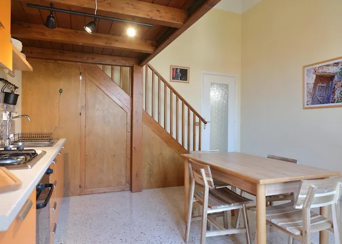 Sunny Flat - Self * 切法卢